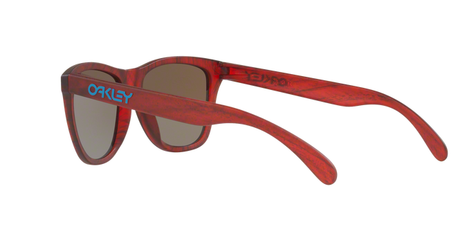 Oakley Frogskins 9013 B7 360 visione