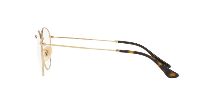 Rayban 3447V ROUND METAL 2500 360 visione