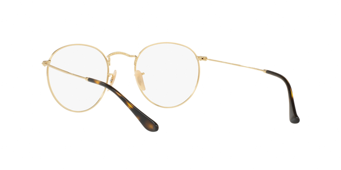 Rayban 3447V ROUND METAL 2500 360 visione