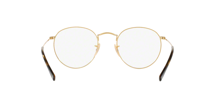 Rayban 3447V ROUND METAL 2500 360 visione