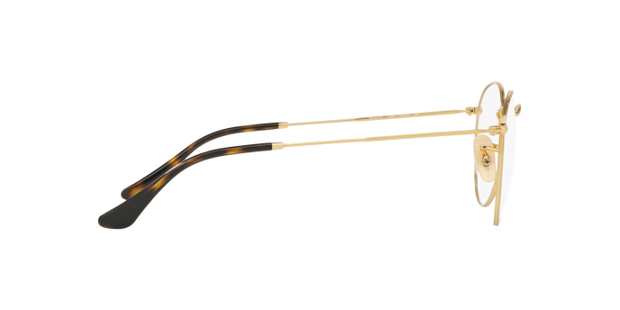 Rayban 3447V ROUND METAL 2500 360 visione