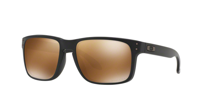 Oakley Holbrook 9102 D7 Mt Blac 360 visione