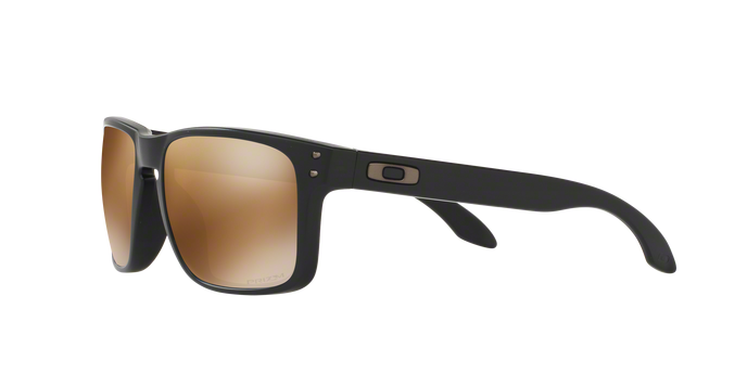 Oakley Holbrook 9102 D7 Mt Blac 360 visione