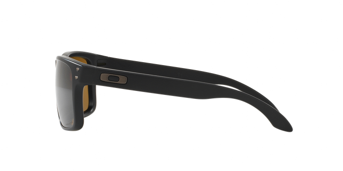 Oakley Holbrook 9102 D7 Mt Blac 360 visione