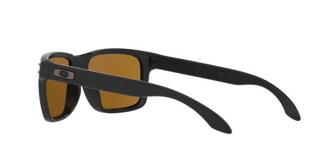 Oakley Holbrook 9102 D7 Mt Blac 360 visione