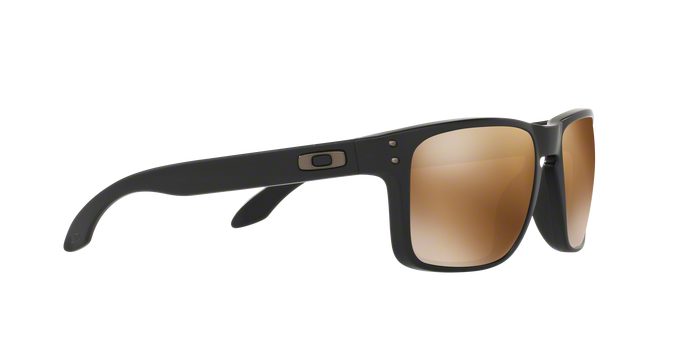 Oakley Holbrook 9102 D7 Mt Blac 360 visione