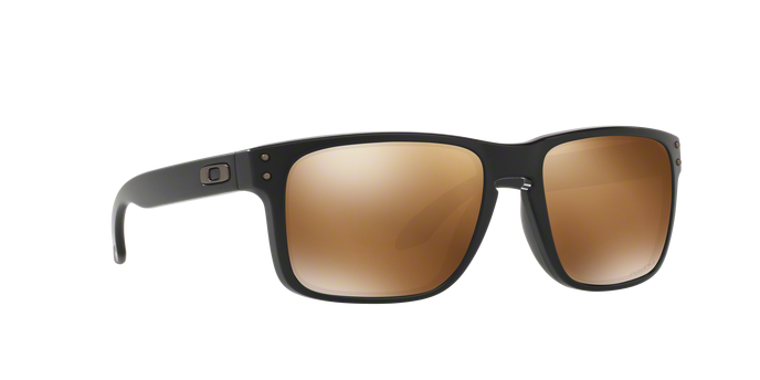 Oakley Holbrook 9102 D7 Mt Blac 360 visione