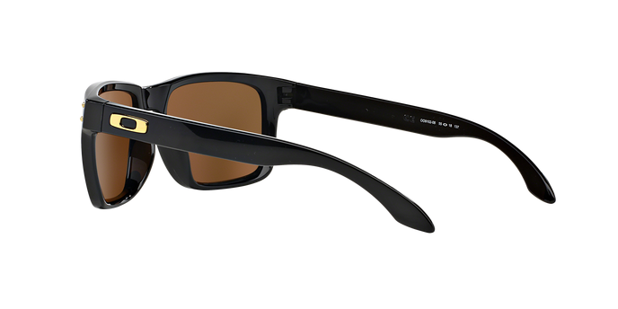 Oakley Holbrook 9102 E3 24k Iri 360 visione