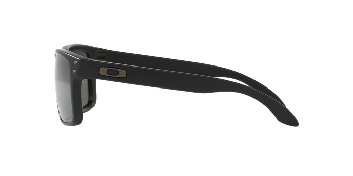 Oakley Holbrook 9102 D6 Mt Blac 360 visione