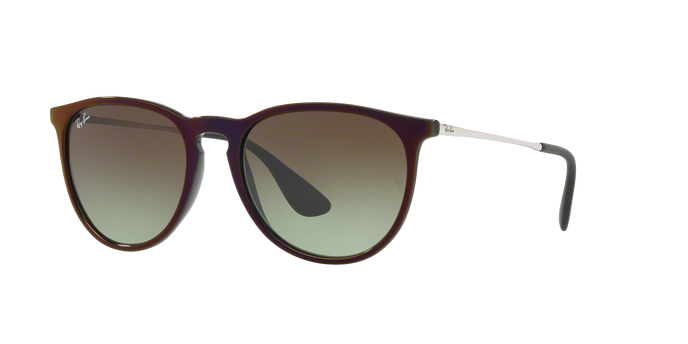 Rayban Erika 4171 6316E8 360 visione