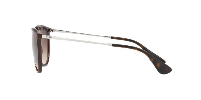 Rayban Erika 4171 631513 360 visione
