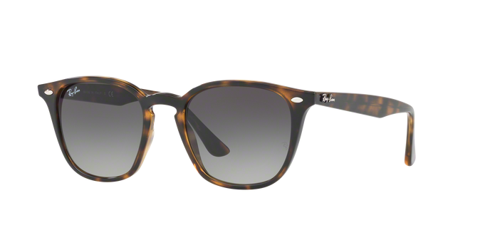 Rayban 4258 710/11 360 visione