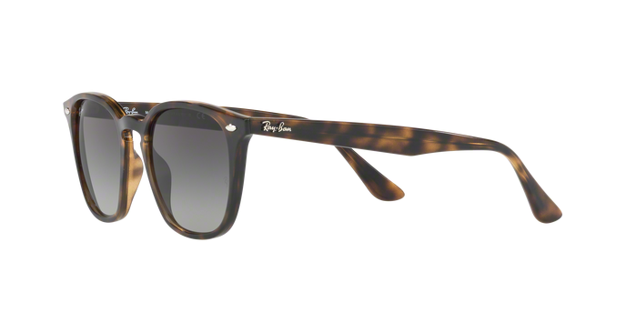 Rayban 4258 710/11 360 visione