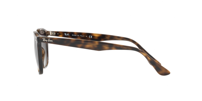 Rayban 4258 710/11 360 visione