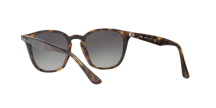 Rayban 4258 710/11 360 visione