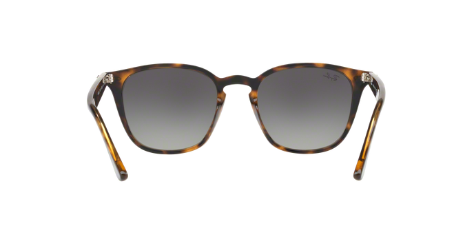 Rayban 4258 710/11 360 visione