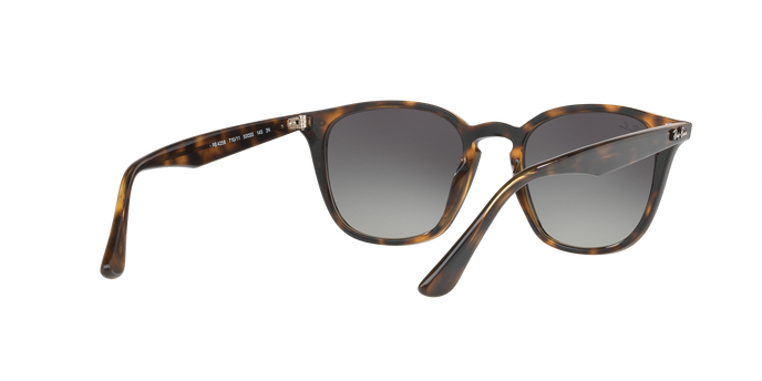 Rayban 4258 710/11 360 visione