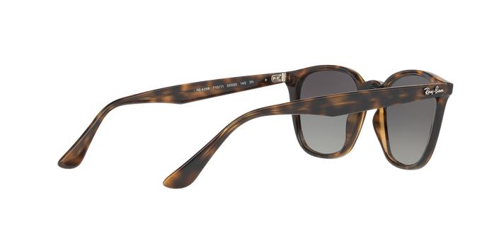 Rayban 4258 710/11 360 visione