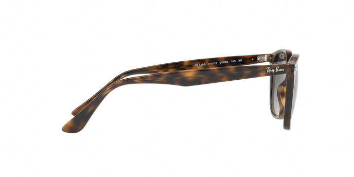 Rayban 4258 710/11 360 visione