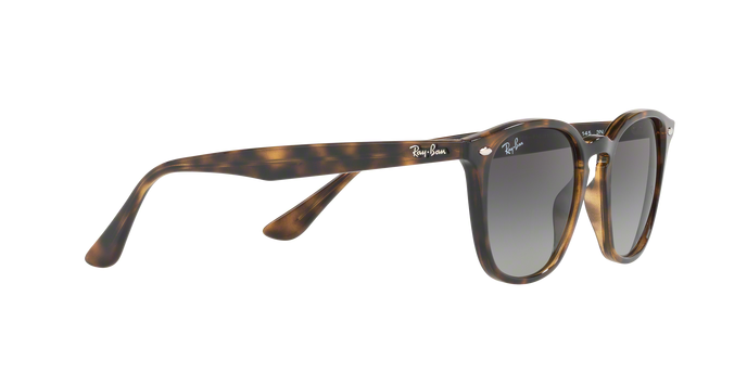 Rayban 4258 710/11 360 visione