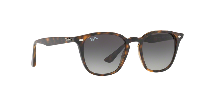 Rayban 4258 710/11 360 visione