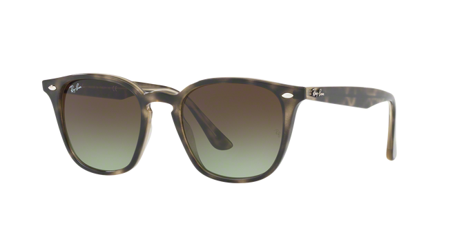 Rayban 4258 731/E8 360 visione