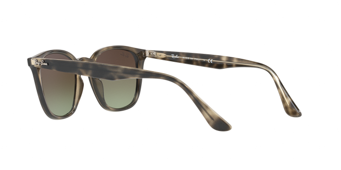 Rayban 4258 731/E8 360 visione