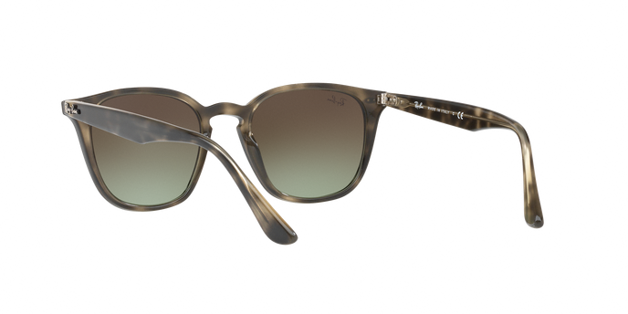 Rayban 4258 731/E8 360 visione
