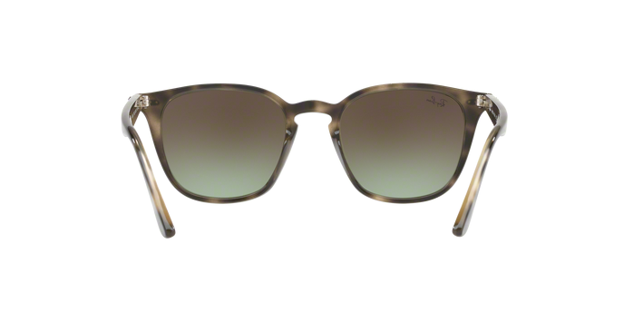 Rayban 4258 731/E8 360 visione