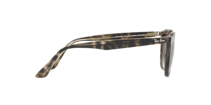 Rayban 4258 731/E8 360 visione