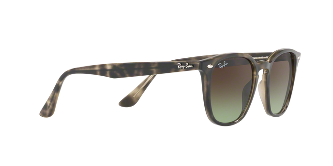 Rayban 4258 731/E8 360 visione