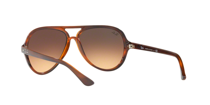 Rayban 4125 CATS 5000 820/A5 360 visione