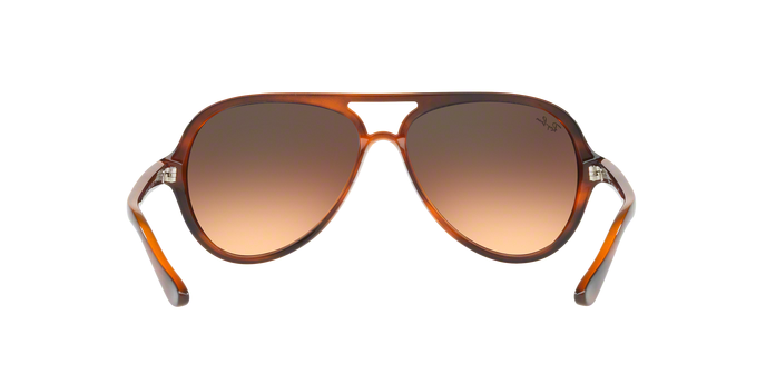Rayban 4125 CATS 5000 820/A5 360 visione