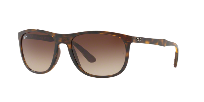 Rayban 4291 710/13 360 visione