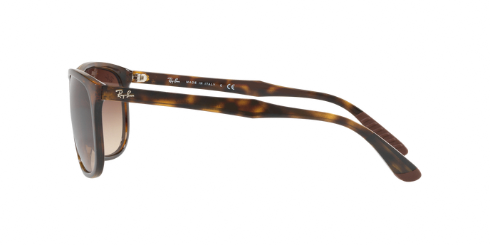Rayban 4291 710/13 360 visione