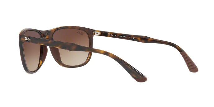 Rayban 4291 710/13 360 visione