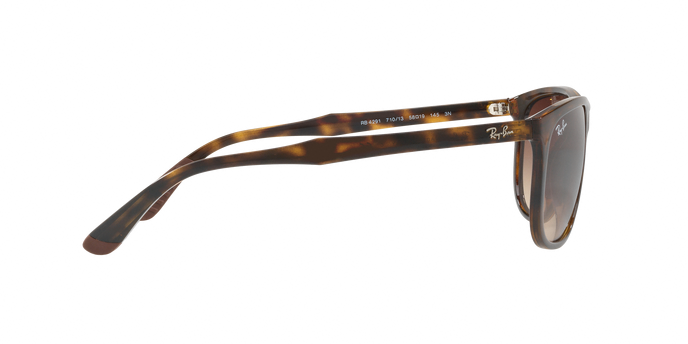 Rayban 4291 710/13 360 visione