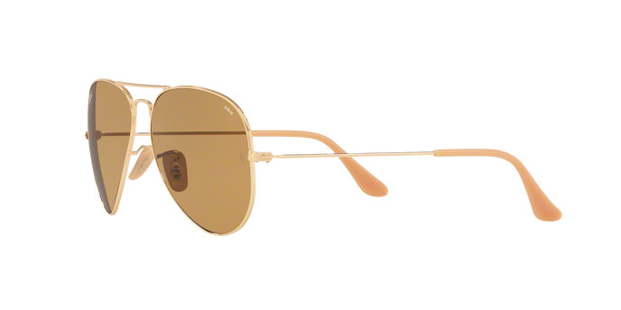 Rayban 3025 Aviator 90644I Evo 360 visione