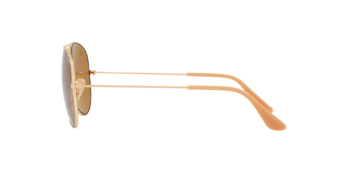 Rayban 3025 Aviator 90644I Evo 360 visione