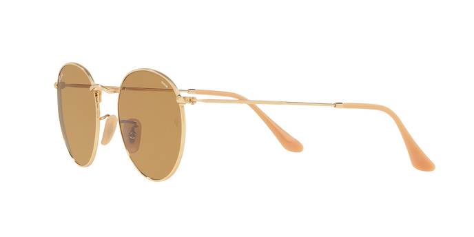 Rayban 3447 ROUND METAL 90644I 360 visione
