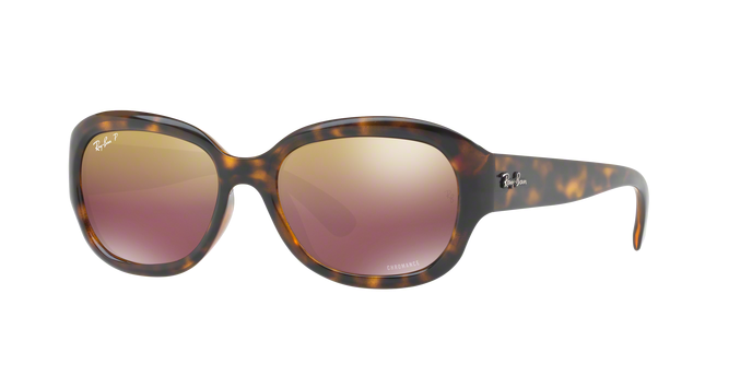 Rayban 4282CH 710/6B Pol 360 visione