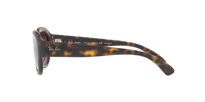 Rayban 4282CH 710/6B Pol 360 visione