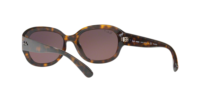 Rayban 4282CH 710/6B Pol 360 visione