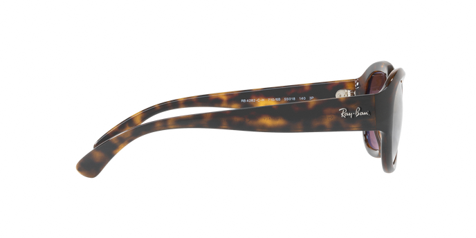 Rayban 4282CH 710/6B Pol 360 visione