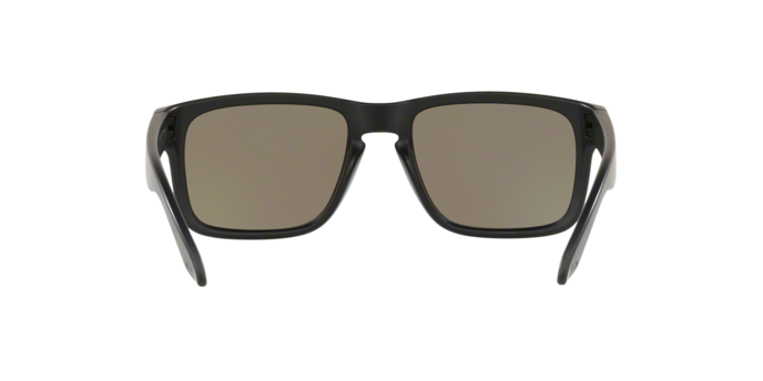 Oakley Holbrook 9102 F0 polariz 360 visione