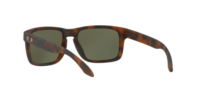 Oakley Holbrook 9102 F4 360 visione