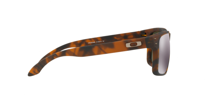 Oakley Holbrook 9102 F4 360 visione