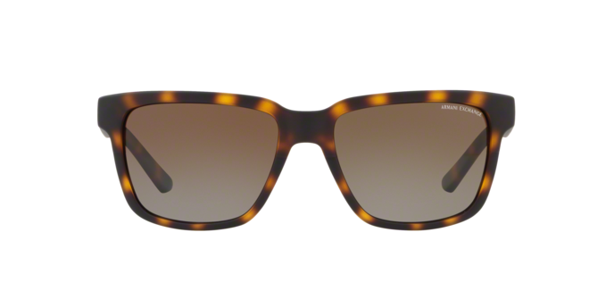 Armani Exchange 4026S 8029T5 360 visione
