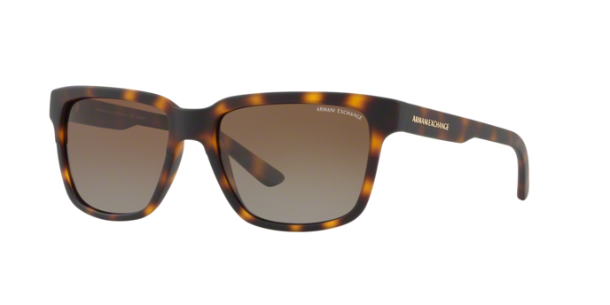 Armani Exchange 4026S 8029T5 360 visione