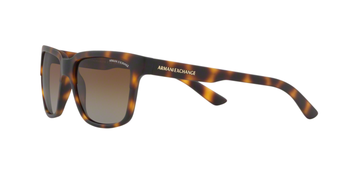 Armani Exchange 4026S 8029T5 360 visione